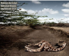 « Grants For Good » : Ouverture des inscriptions aux Bourses Getty Images