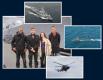 La Marine nationale recrute 3 000 jeunes