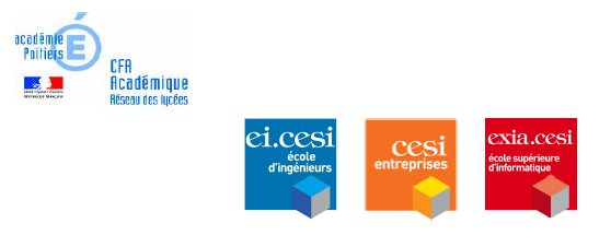 des classes préparatoires professionnalisantes, par l'apprentissage