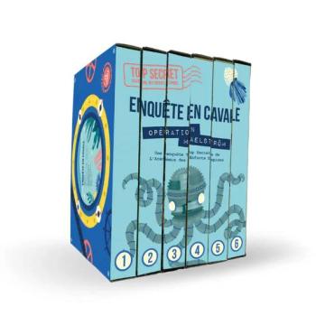 Les Enquêtes Par Courrier