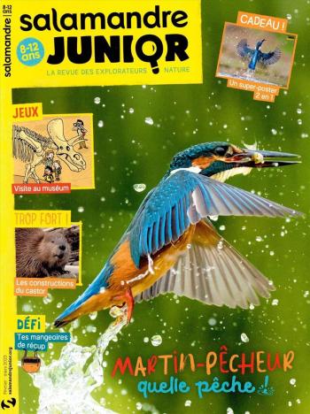 Salamandre Junior
