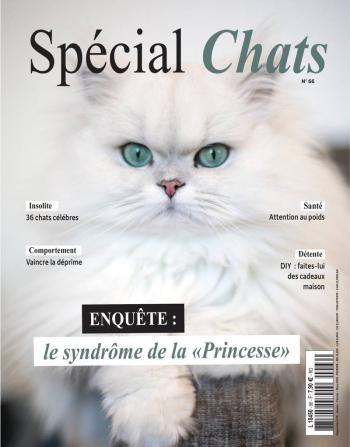 Spécial Chats